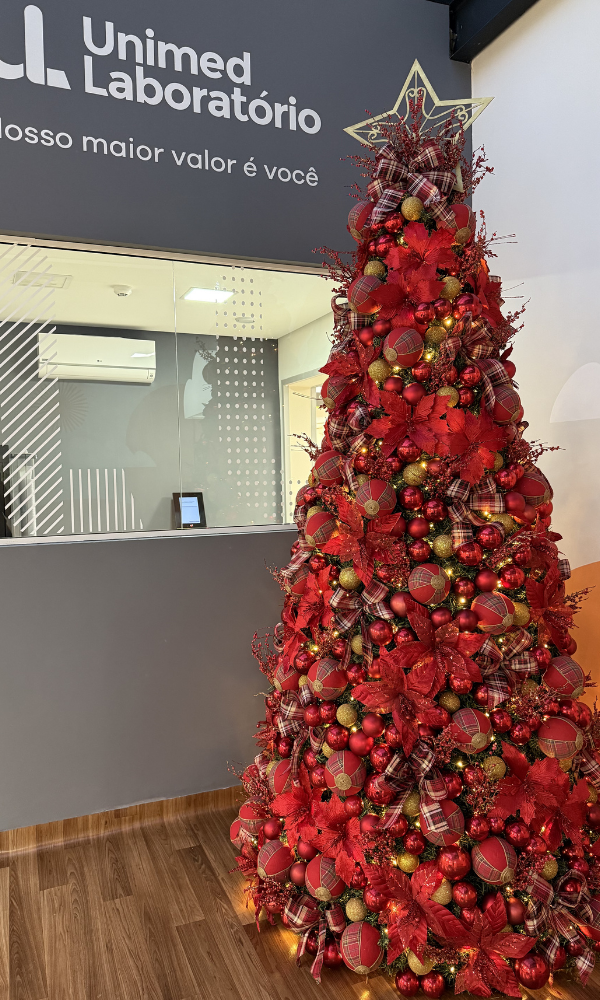 Arvore-de-natal-vermelha (6)