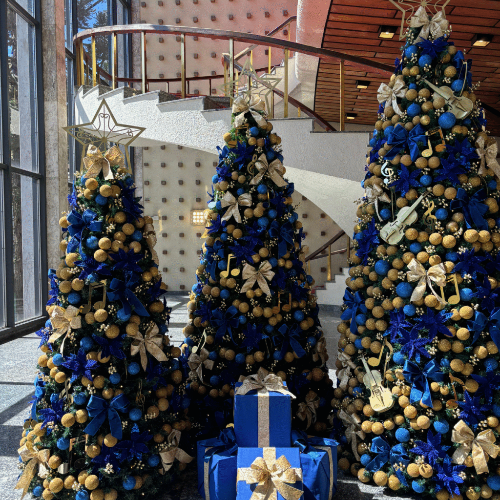 decoração de natal (2)